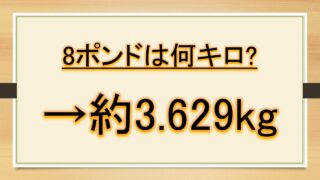 9ポンドは何キロで何グラム 重さ 何オンスか Lbsとgとkgとoz ボウリングなど おでかけラボ